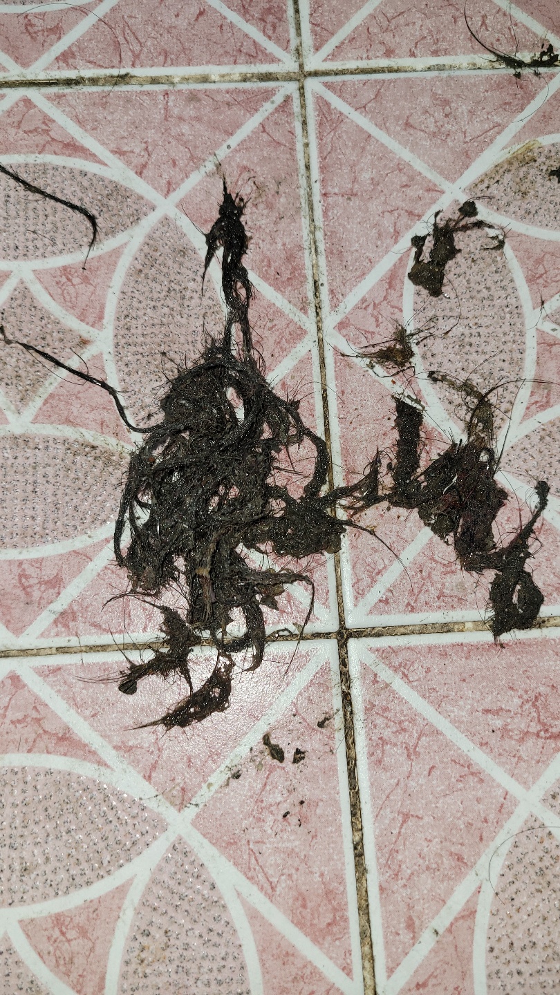 2000769928_EBXOINtm_d8972b4ce47aabd86f7ce1241e38954f222c051a.jpg 이미지크게보기